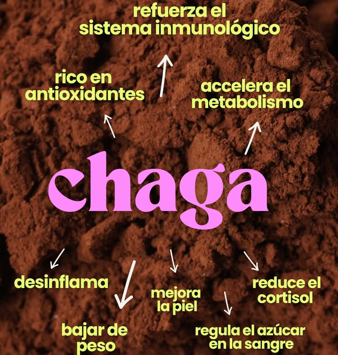 CHAGA