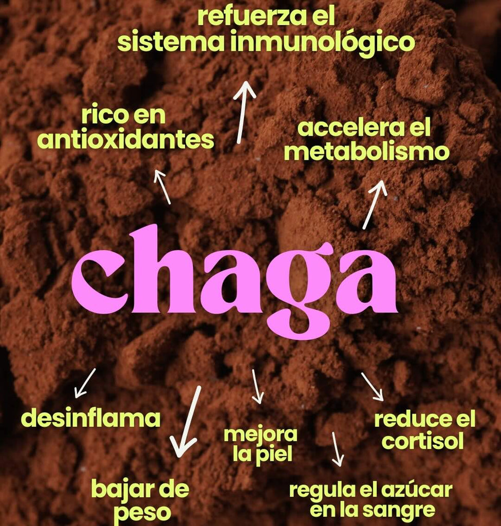 CHAGA ORGÁNICO