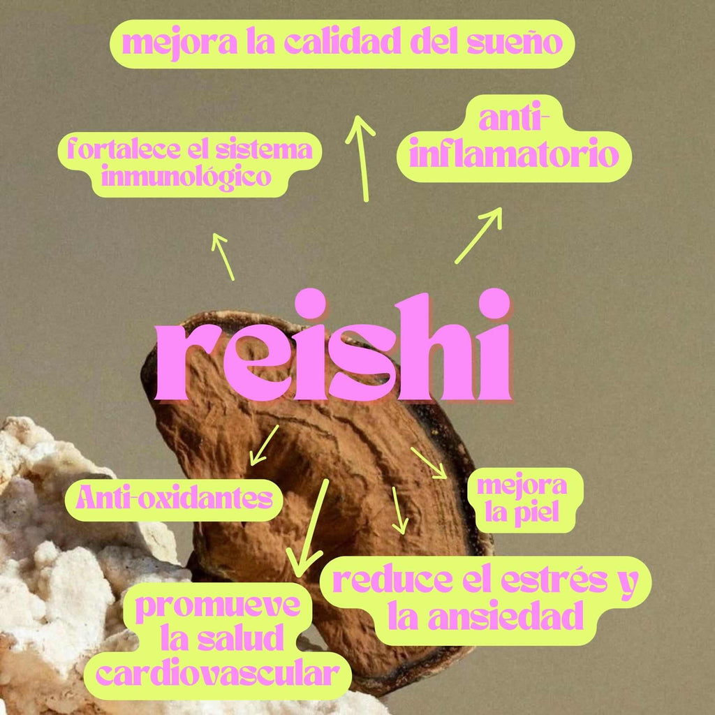 REISHI ORGÁNICO