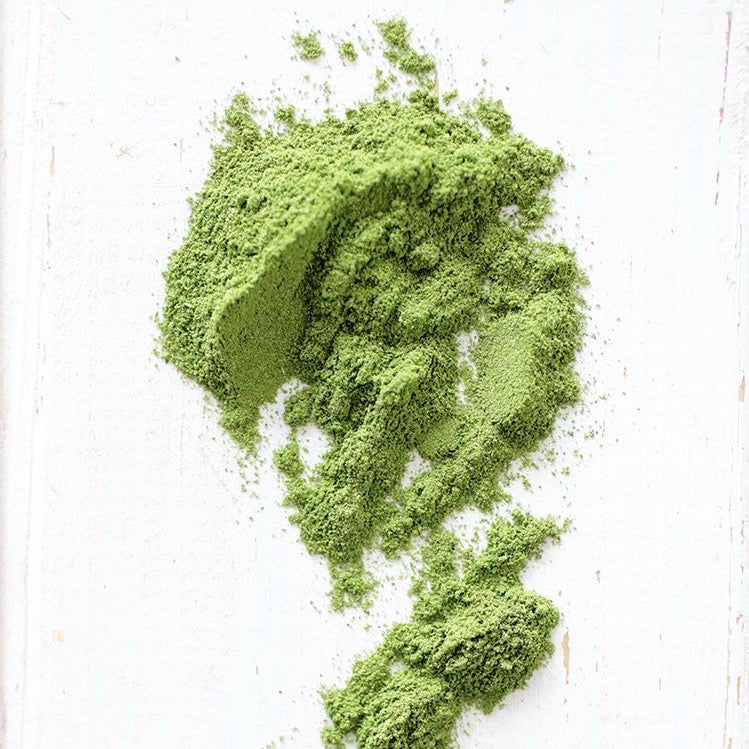 WHEATGRASS ORGÁNICO (Copy)