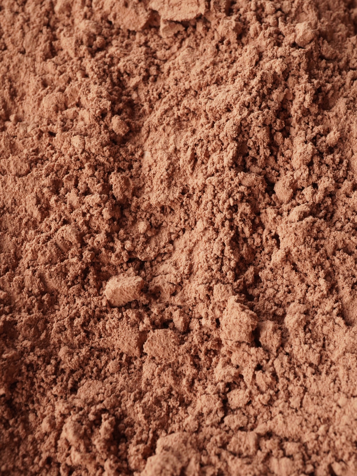 CACAO ORGÁNICO