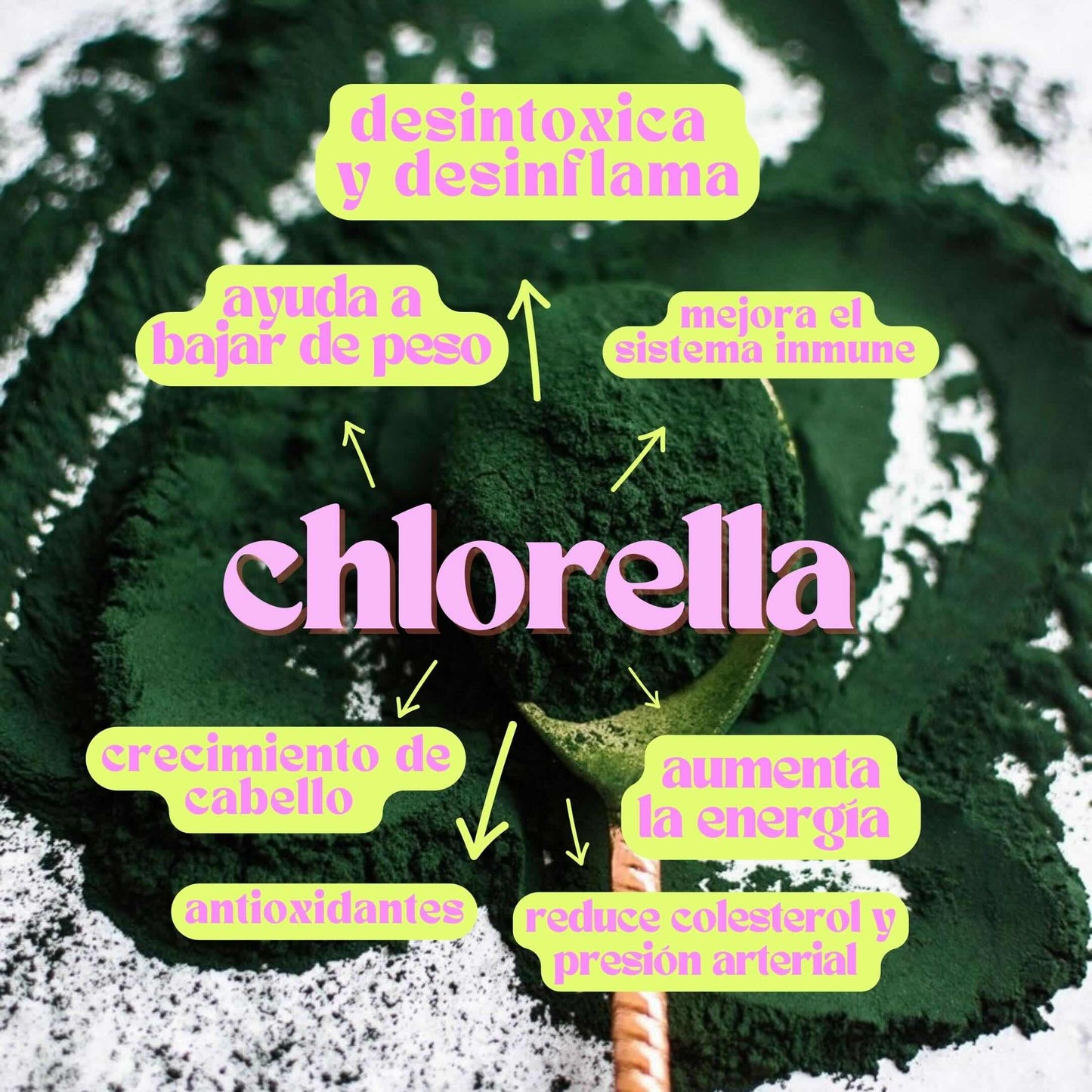 CHLORELLA