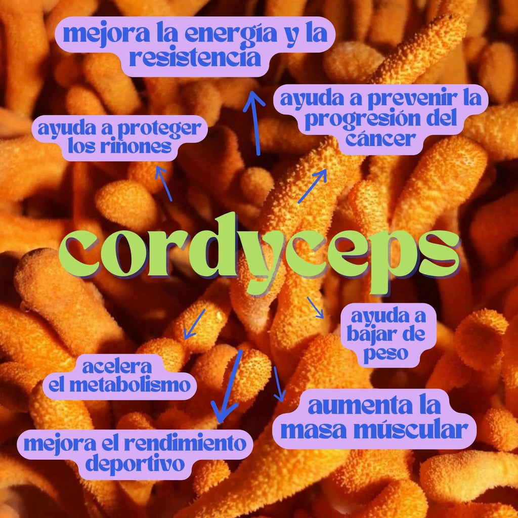 CORDYCEPS 120 CÁPSULAS