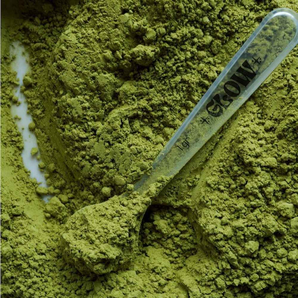 MATCHA PREMIUM ORGÁNICA