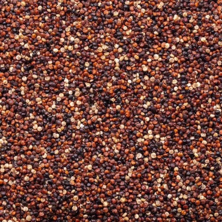 QUINOA ORGÁNICA